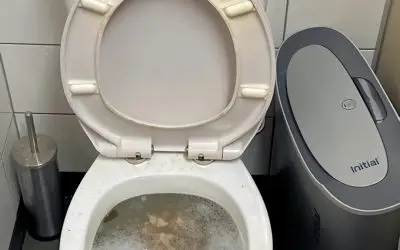 Toilet Paper Is Blocking Your Drains