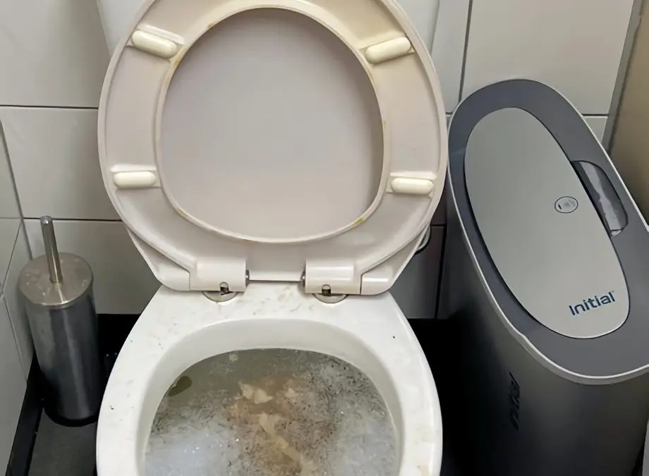 Toilet Paper Is Blocking Your Drains