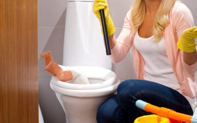 How Does a Toilet Block?