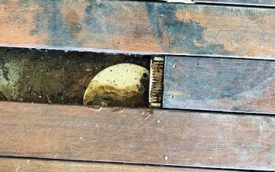 The Perils of DIY Plumbing