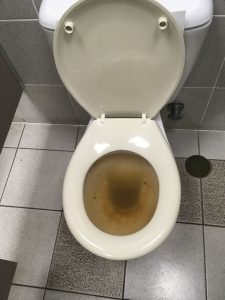 blocked toilet caused by blocked sewer drain