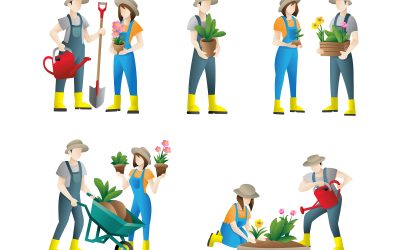 Water-Wise Ways to Maintain Your Garden