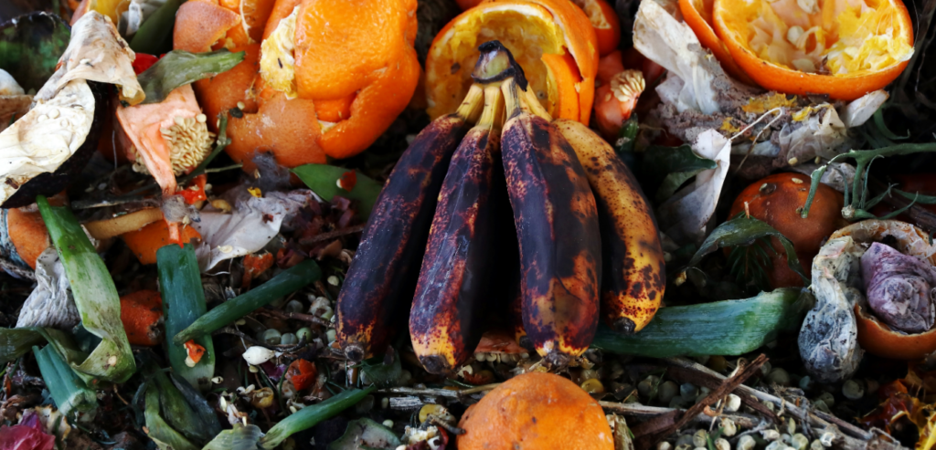 InSimkErator Food Waste Disposal Units