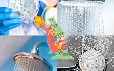 Is bacteria & mould in your showerhead making you sick?