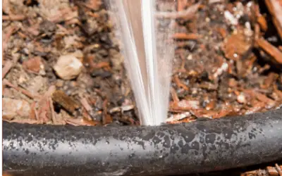 How much does a burst pipe add to your Gold Coast water bill?