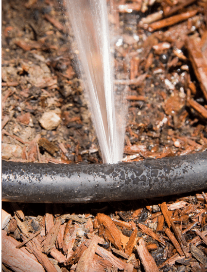 What to Do When a Pipe Bursts