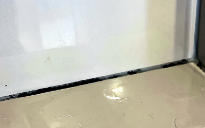 Preventing mould growth is the best way to protect your health and your home