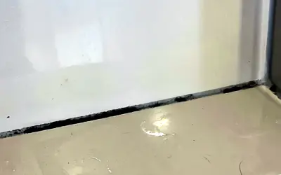 Preventing mould growth is the best way to protect your health and your home