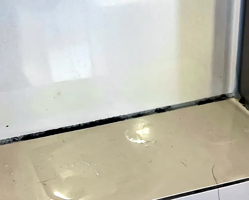 Preventing mould growth is the best way to protect your health and your home