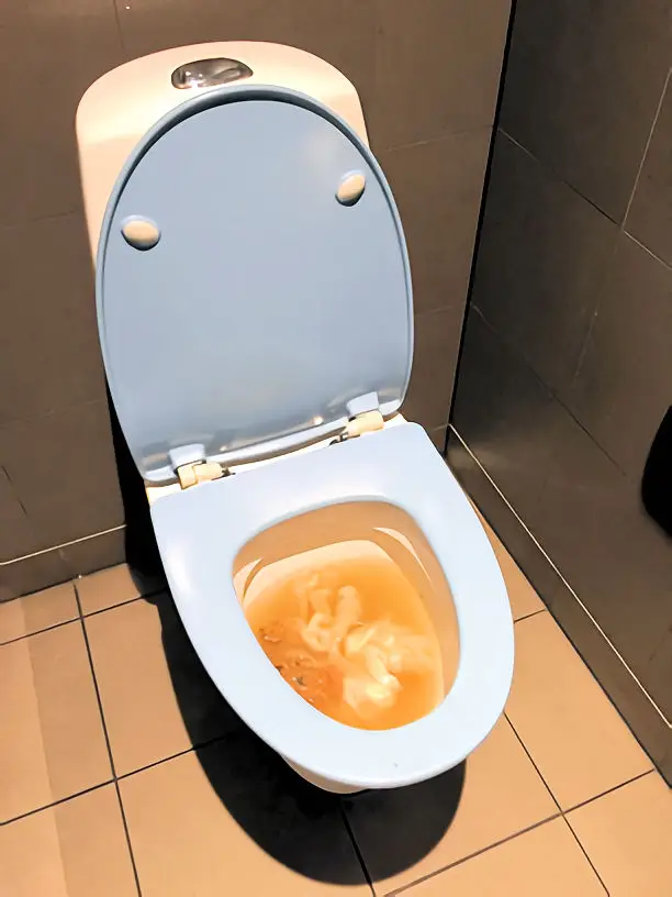 blocked toilet cleared by Whywait Plumbing